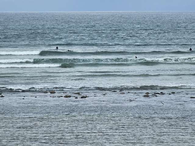 2 foot wave breaking in front of the shop with a few surfers sitting in the water behind iit